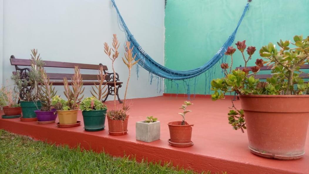 La Plata Hostel Екстер'єр фото